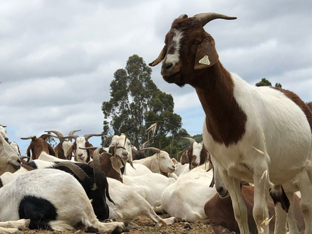 We Care Relief Canada Homepage | Muslim Charity Image3536