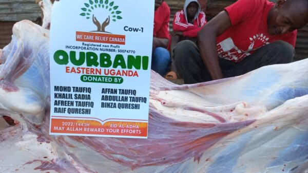 Qurbani - Image 3