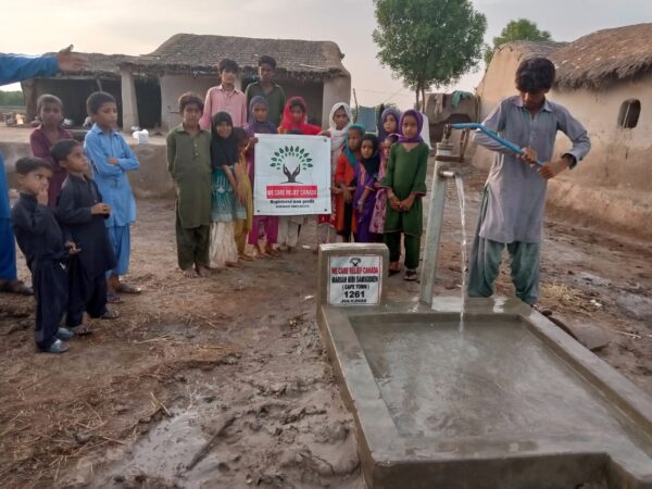 Sponsor Hand Pump - Image 3