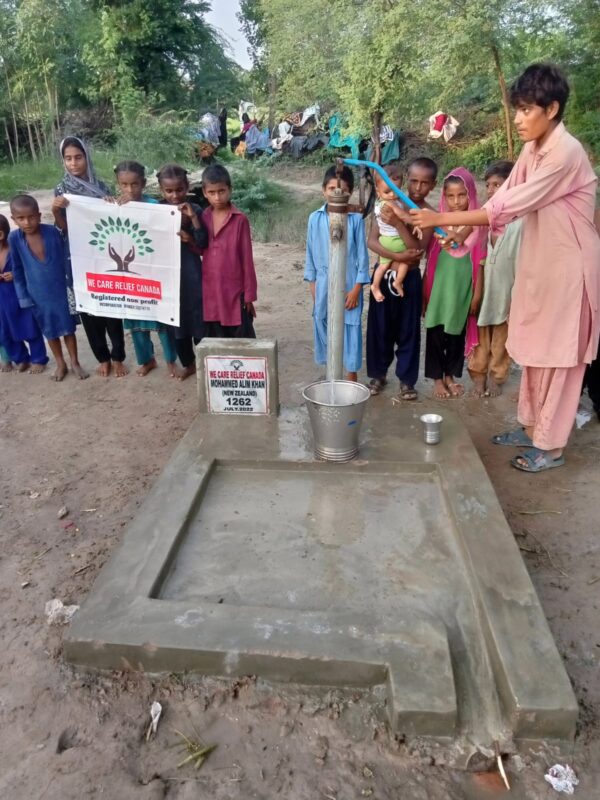 Sponsor Hand Pump - Image 2