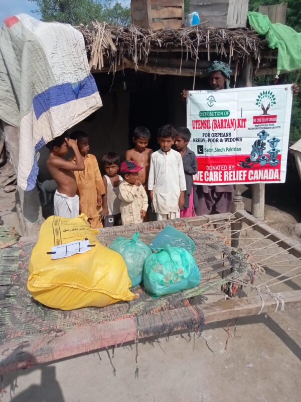 Sponsor Hand Pump - Image 4