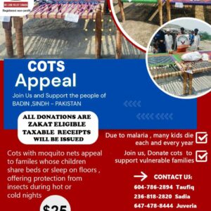 Cot Appeal