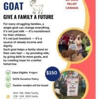 donate a goat, milk yielding goat